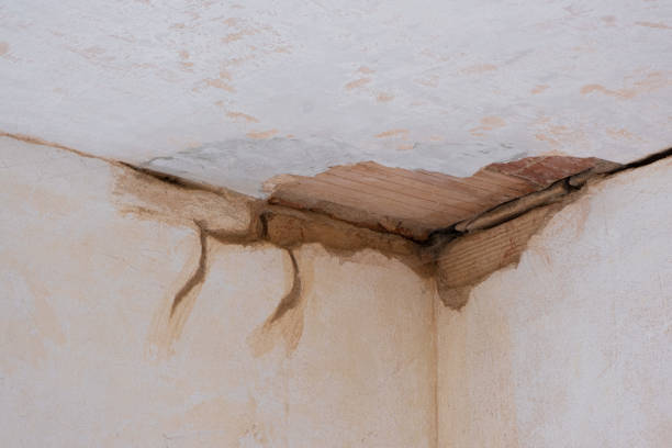 Best Fire Damage Restoration  in Del Rio, TX