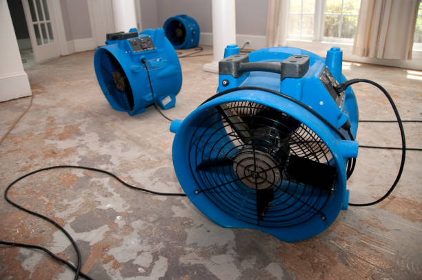 Best Commercial water damage restoration  in Del Rio, TX