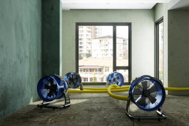 Best 24/7 water damage repair  in Del Rio, TX